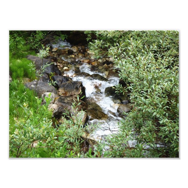 Babbling brook photo print (Front)