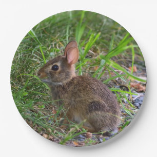 Babby Bunny Paper Plate