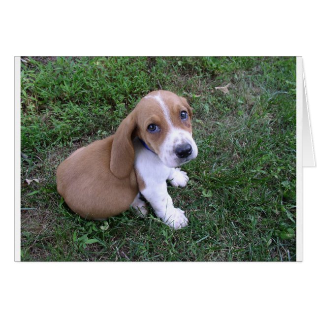 babies (8) (Front Horizontal)