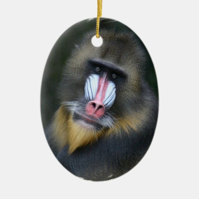 Baboon Face Ornament (Front)