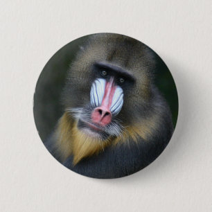 Baboon Face Round Button