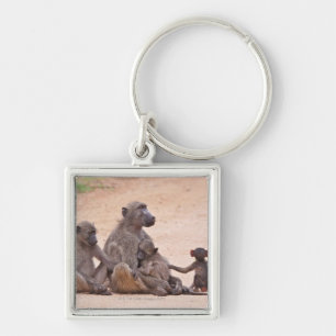 Baboon family sitting on ground key ring