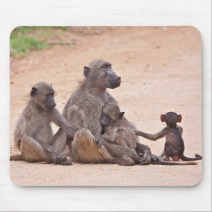 Baboon family sitting on ground mouse pad