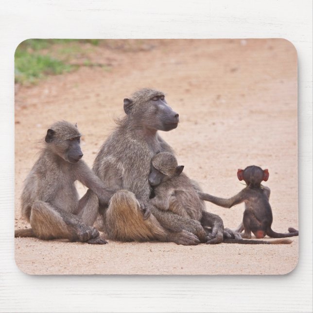Baboon family sitting on ground mouse pad (Front)