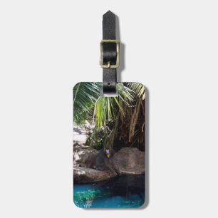 Baboon In Paradise, Luggage Tag