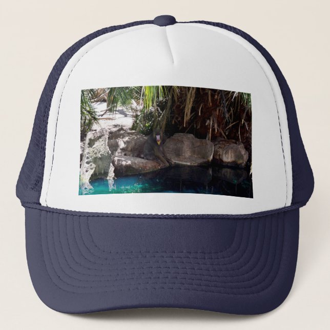 Baboon In Paradise, Trucker Hat (Front)