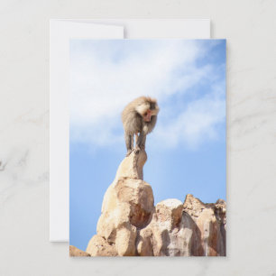 Baboon monkey on top of a mountain advice card