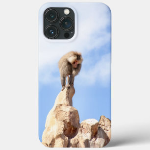Baboon monkey on top of a mountain iPhone 13 pro max case