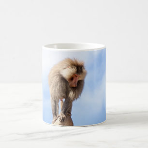 Baboon monkey on top of a mountain coffee mug