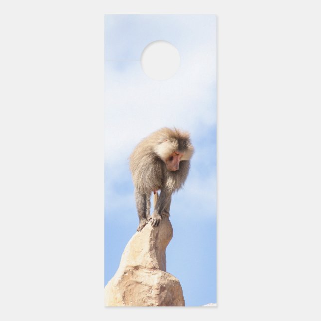 Baboon monkey on top of a mountain door hanger (Front)