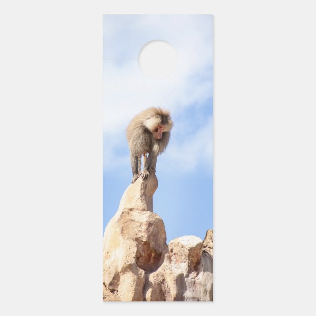 Baboon monkey on top of a mountain door hanger (Front)