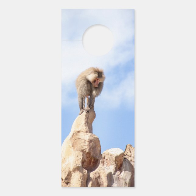 Baboon monkey on top of a mountain door hanger (Front)