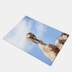 Baboon monkey on top of a mountain doormat