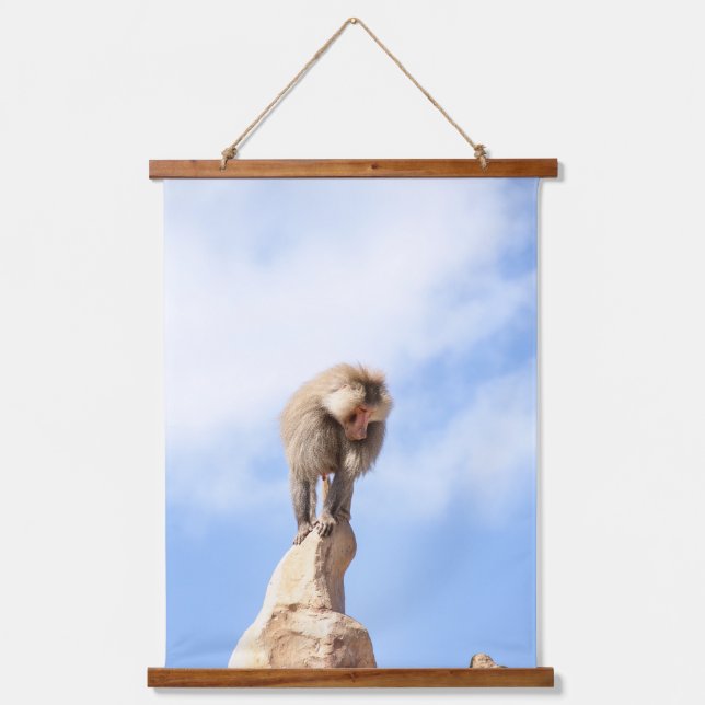 Baboon monkey on top of a mountain hanging tapestry (Front)