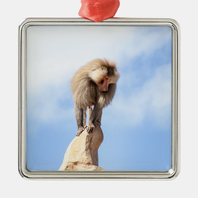 Baboon monkey on top of a mountain metal ornament (Front)