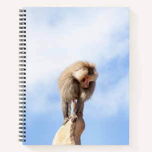 Baboon monkey on top of a mountain notebook
