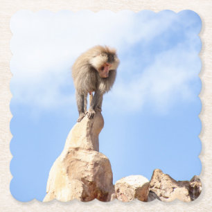 Baboon monkey on top of a mountain paper coaster