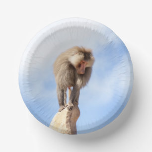 Baboon monkey on top of a mountain paper plate