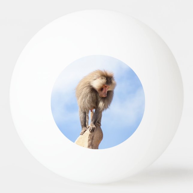 Baboon monkey on top of a mountain ping pong ball (Front)