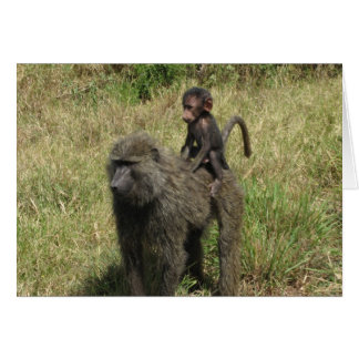 Baboon mother & baby