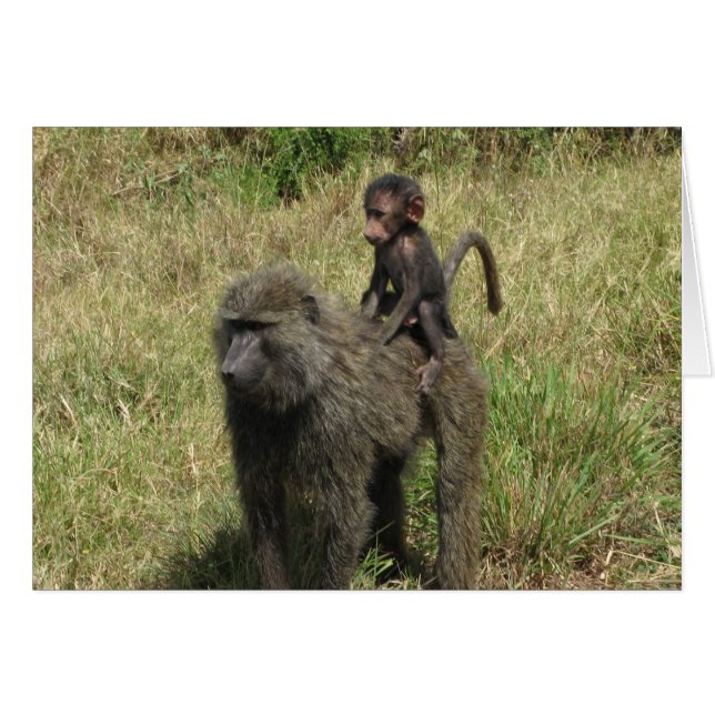 Baboon mother & baby (Front Horizontal)