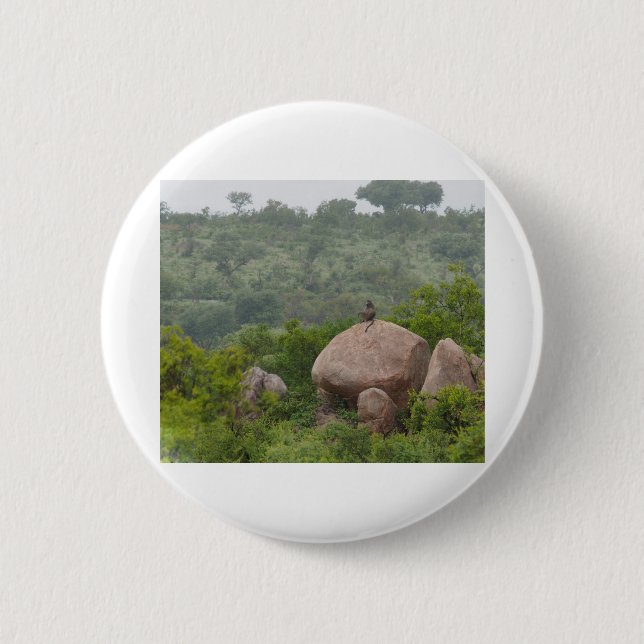 Baboon on a Rock 6 Cm Round Badge (Front)