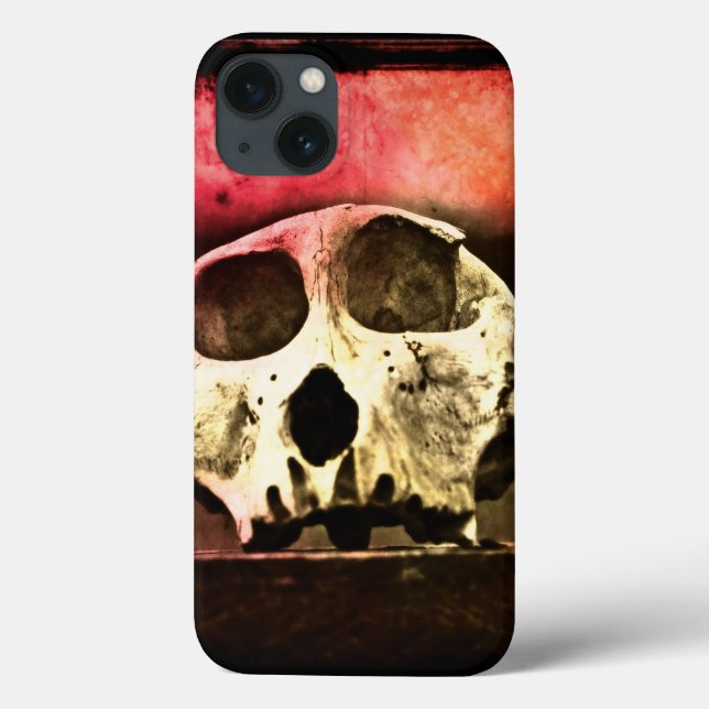 Baboon Skull Sunset iPad Air case (Back)