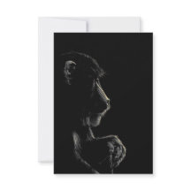Baboon