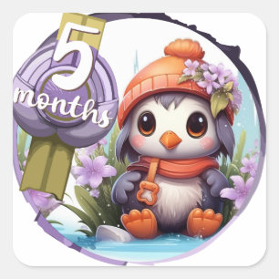 Baby - 5 months too square sticker