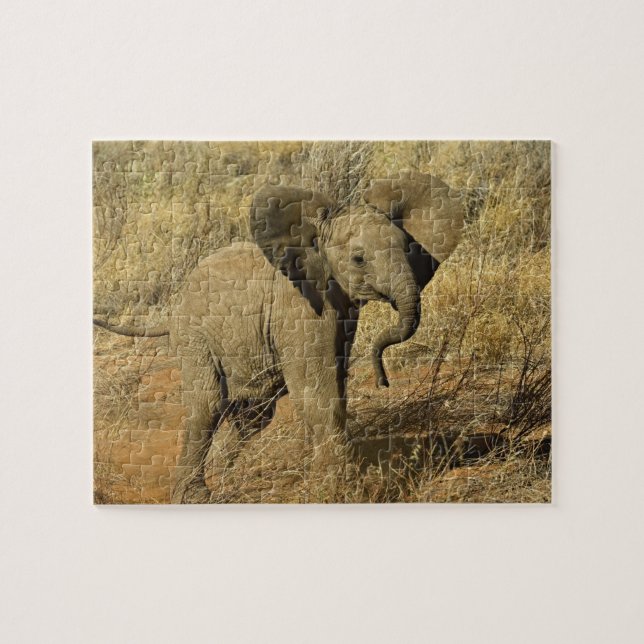Baby African Elephant, Loxodonta Africana, Jigsaw Puzzle (Horizontal)