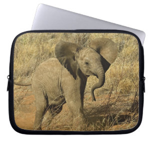 Baby African Elephant, Loxodonta Africana, Laptop Sleeve