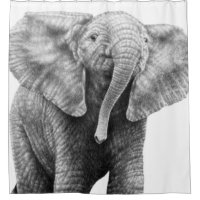 Baby African Elephant