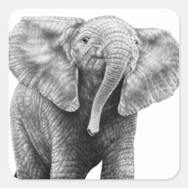 Baby African Elephant Sticker (Front)