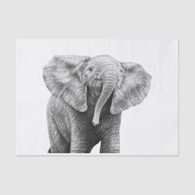 Baby African Elephant Tissue Paper (Front)