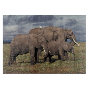 Baby African Elephant with family Cutting Board