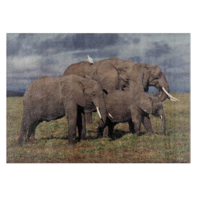 Baby African Elephant with family Cutting Board (Front)