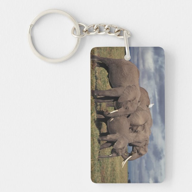 Baby African Elephant with family Key Ring (Front)