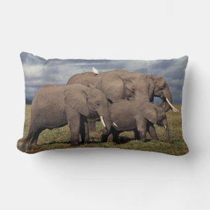 Baby African Elephant with family Lumbar Cushion