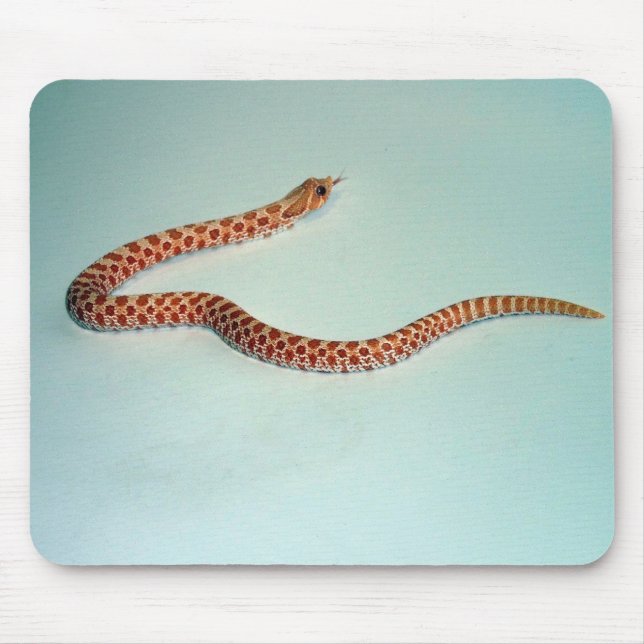 Baby Albino Hognose Snake Mousepad (Front)