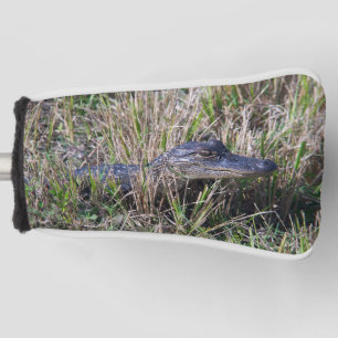 Baby Alligator in Marsh Grass Photography Golf Head Cover
