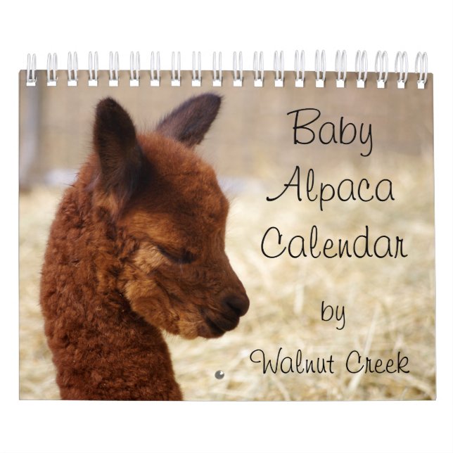 Baby Alpaca Calendar 2023 (Cover)