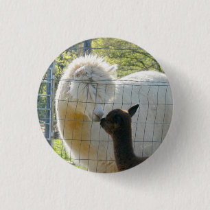 Baby Alpaca Kiss Buttons
