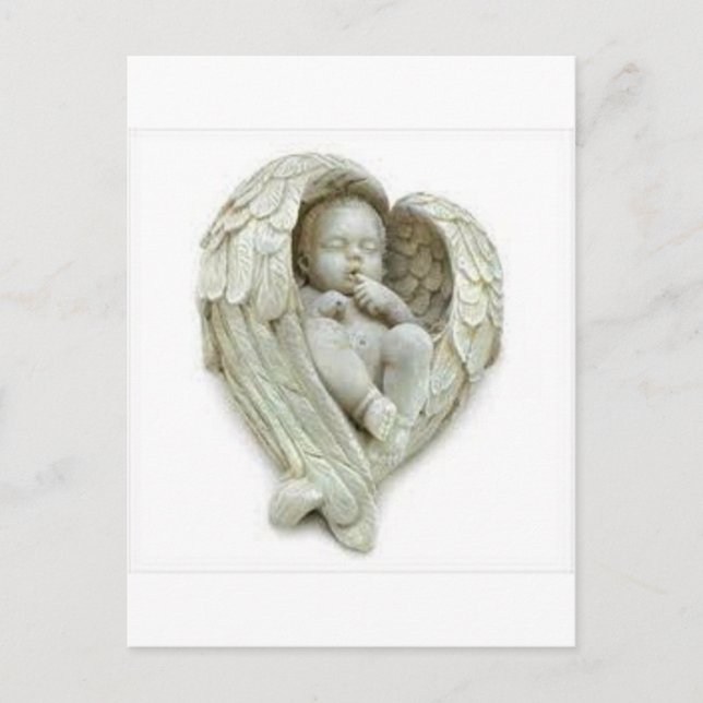 Baby angel wings products postcard (Front)