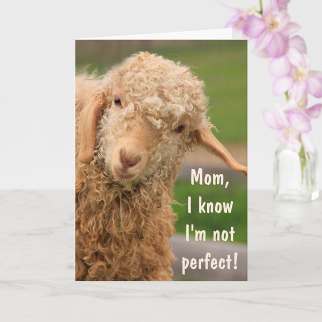 Baby Angora Goat Mother's Day Card (Orchid)