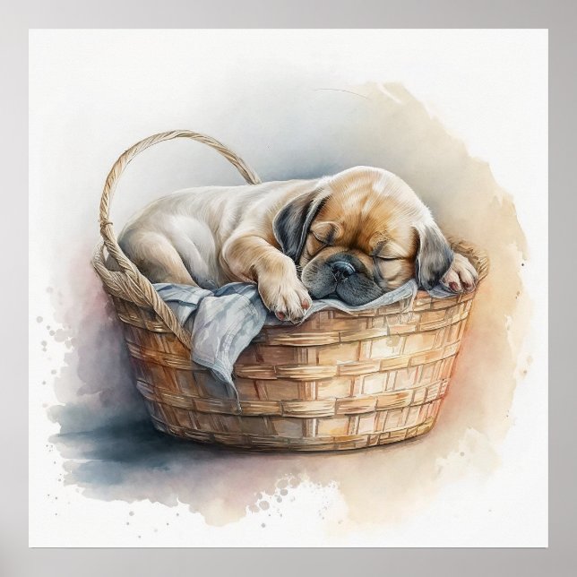 Baby Animal Prints for Nursery, Cute Dog poster (Front)