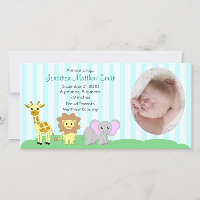 Baby Animals Birth Announcements Photo Card (Front)