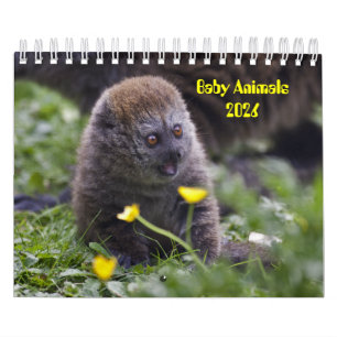 Baby Animals Calendar