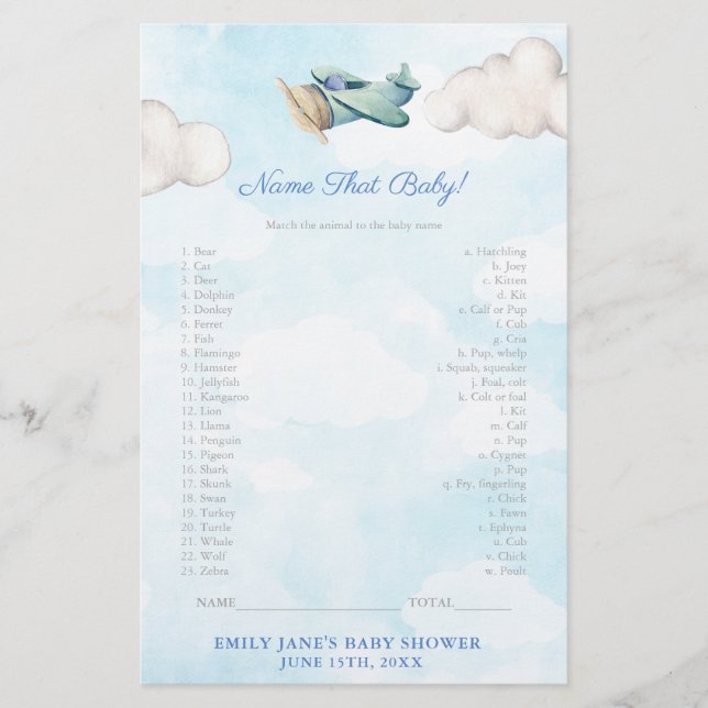 Baby Animals Game Card Toy Aeroplane Baby Shower (Front)