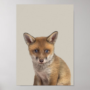 Baby Animals Nursery Poster - Fox