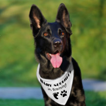 Baby Announcement Pet Bandanna